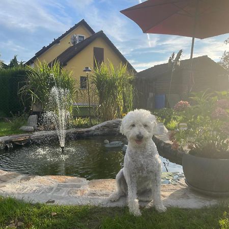 Ferienwohnung Eva Mureck Exteriör bild