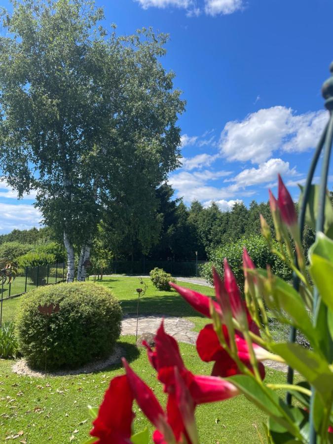Ferienwohnung Eva Mureck Exteriör bild